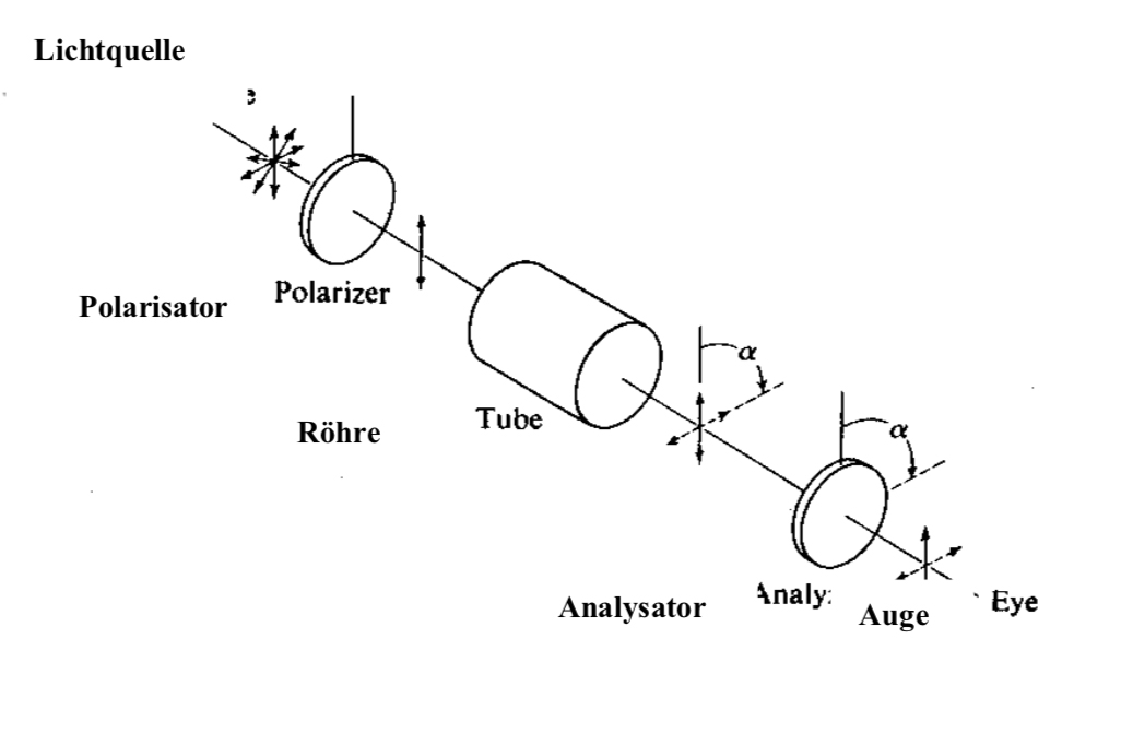 Die Borderlines Post